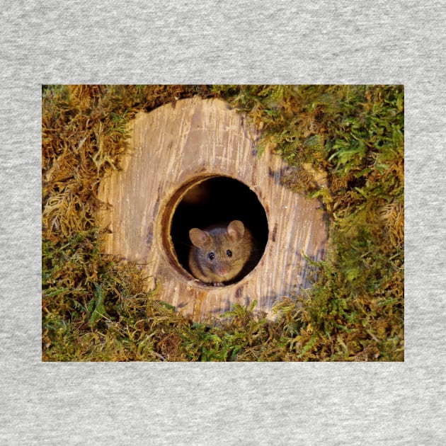 Mouse in a mossey hole by Simon-dell